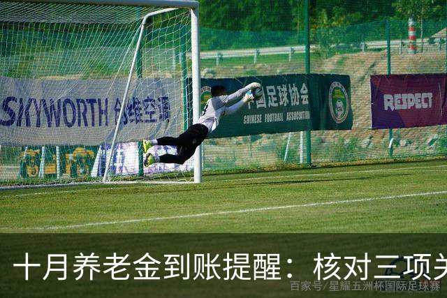 十月养老金到账提醒：核对三项关键信息，确保万无一失